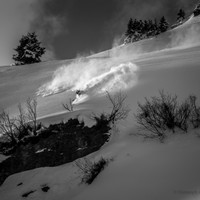 <span>© </span>www.oberschneider.com