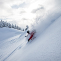 © www.oberschneider.com