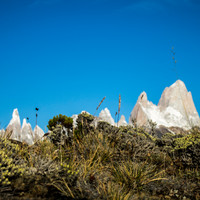 <strong>Eine karge und niedrig wachsende Pflanzenwelt umgiebt diese Bergriesen aus Fels und Eis</strong>