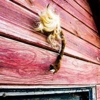 <strong>Interessanter Häuserschmuck</strong>