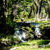 bach-pedra-del-fraile.jpg <strong>Mit leichtem Gepäck und in wunderbarer Landschaft genießen wir den Rückweg</strong>