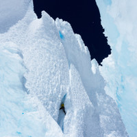 headwall-tunnel-graben.jpg <strong><span>Jungfräuliche Headwall - </span>Timo beginnt mit der dreistündigen Grabungsarbeit </strong>© Stefan Brunner