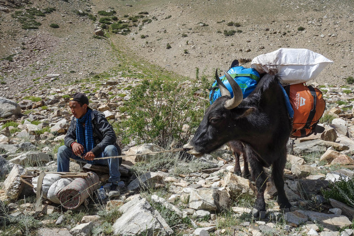 <strong>Ein top motivierter Jugendlicher mit einem Yak</strong> <span class=>© Lorin Etzl</span>