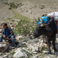 <strong>Ein top motivierter Jugendlicher mit einem Yak</strong> <span class=>© Lorin Etzl</span>