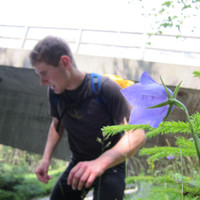 <span><strong>Die Zeit für den Blick auf Details muss sein. Glockenblume vor dem Flo und der A10.</strong> <span class=>© Timo Moser</span> </span>