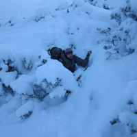 <span><strong>Da sind sie die Latschenminen</strong> <span class=>© Timo Moser</span> </span>