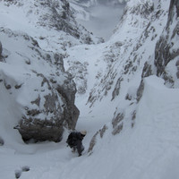 <span><strong>Rinnen runterrutschen...lässige Sache</strong> <span class=>© Timo Moser</span> </span>