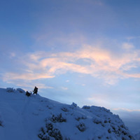 <span><strong>Fotografiert von einer Gams...nein Felgan im Doppelpack</strong> <span class=>© Timo Moser</span> </span>