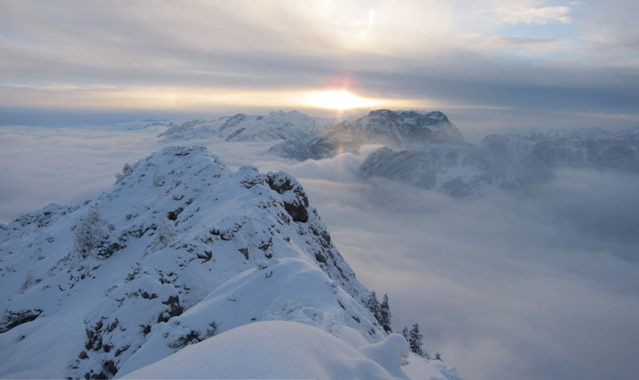 <span><strong>Geht scho sunn komm durch</strong> <span class=>© Timo Moser</span> </span>