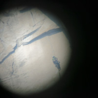 img_6159.jpg <span><strong>Stefan in der Muirwall</strong> <span class=>© Timo Moser</span></span>