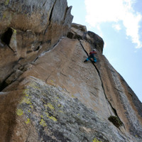 img_6336.jpg <strong>Rostrum</strong> <span class=>© Timo Moser</span>