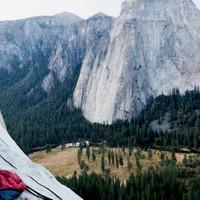 img_6491.jpg <span><strong>So ein schöner Jüngling mit wallendem Haar </strong>© Timo Moser</span>