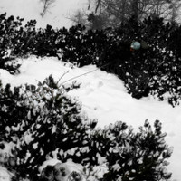 <span>Anfänglich gabs radikales Latschengewürge</span>