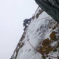Timo in einer delikaten Platte