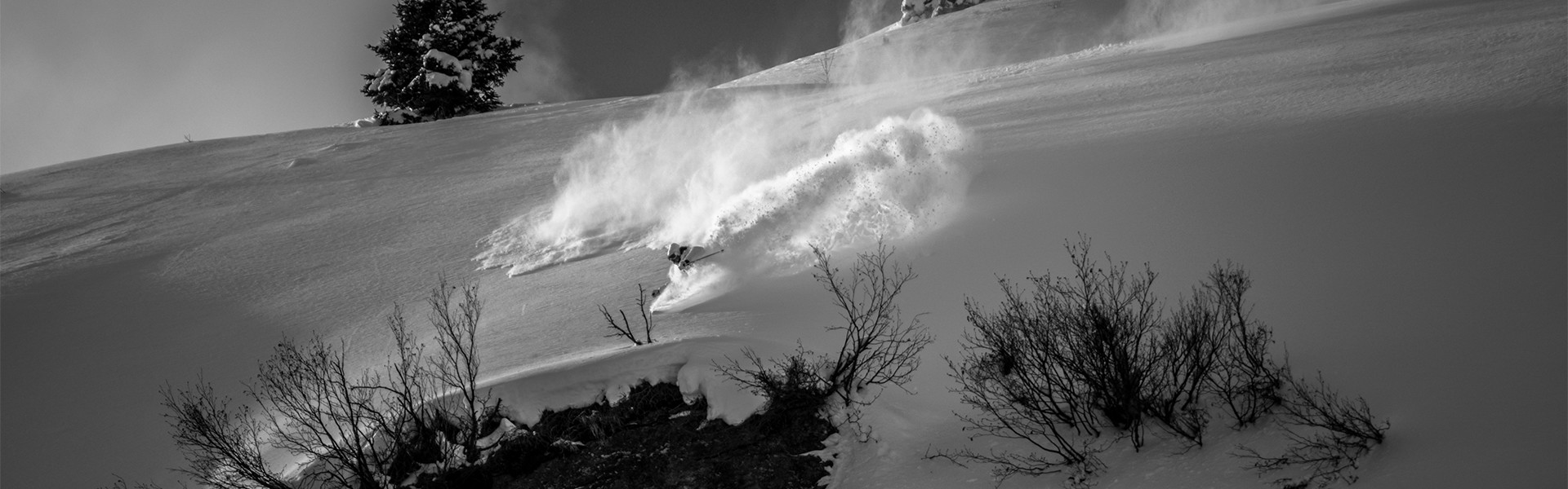 Skilehrer beim Skifahren mit staubenden Pulverschnee und Schneekristalle im Tiefschnee.