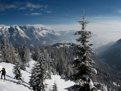 Verschneiter Wald und 2 Skitourengeher mit Sonnenschein
