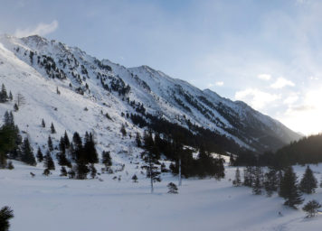 Thumbnail http://Verschneiter%20Winterwald