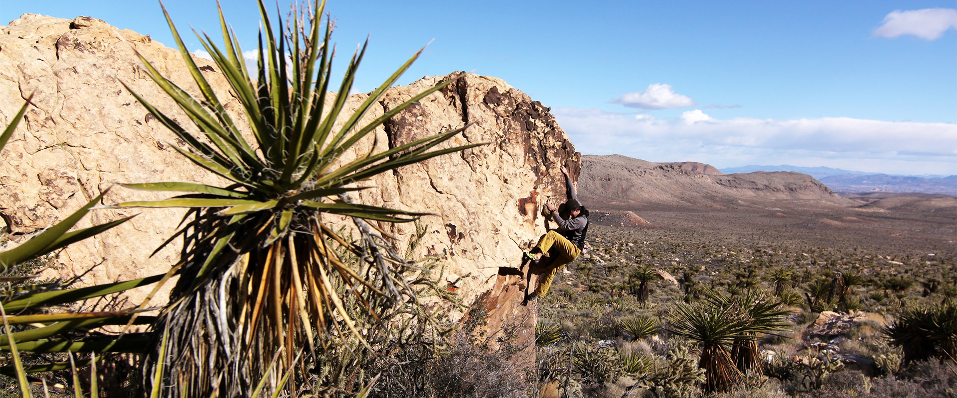 Andreas Widauer bouldert in Amerika an einem Boulderblock