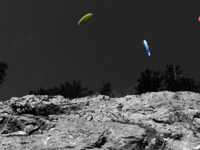 Paraglider