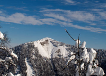 Thumbnail http://Szenario%20Gleitschnee%20-%20Nassschneelawinen