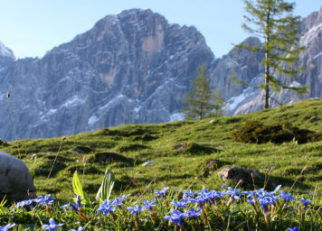 Thumbnail http://Frühlingsstimmung%20Dachstein