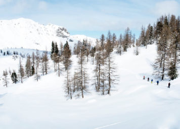 Thumbnail http://Skitourengehergruppe%20im%20Wald