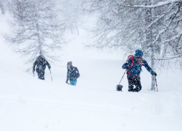 Thumbnail http://Skitourengeher%20im%20Schneegestöber