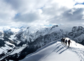 Thumbnail http://Skitourengeher%20am%20Grat