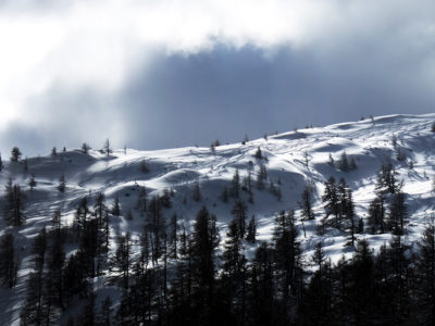 Skitourenspuren im Tiefschnee mit Wald