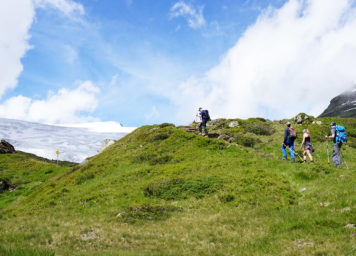 Thumbnail http://Eine%20Gruppe%20Bergsteiger%20beim%20zustieg%20zur%20Neuen%20Prager%20Hütte%20am%20Großvenediger.%20Hochgebirgswiese%20und%20Gletscher%20im%20Hintergrund.