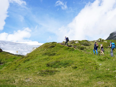 Eine Gruppe Bergsteiger beim zustieg zur Neuen Prager Hütte am Großvenediger. Hochgebirgswiese und Gletscher im Hintergrund.