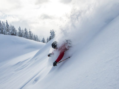 Wald-Ski-Pulverschnee-Freerider