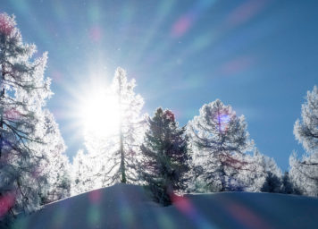 Thumbnail http://Sonnenstrahlen%20im%20eingeschneiten%20Baum%20mit%20Reif%20an%20den%20Nadeln