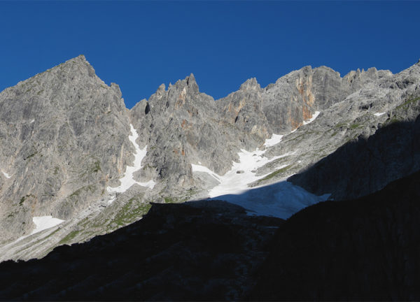 Königsjodler-Birkar
