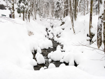 Eingeschneites Bachbett mit Schneegupfe auf den Steinen und Wald