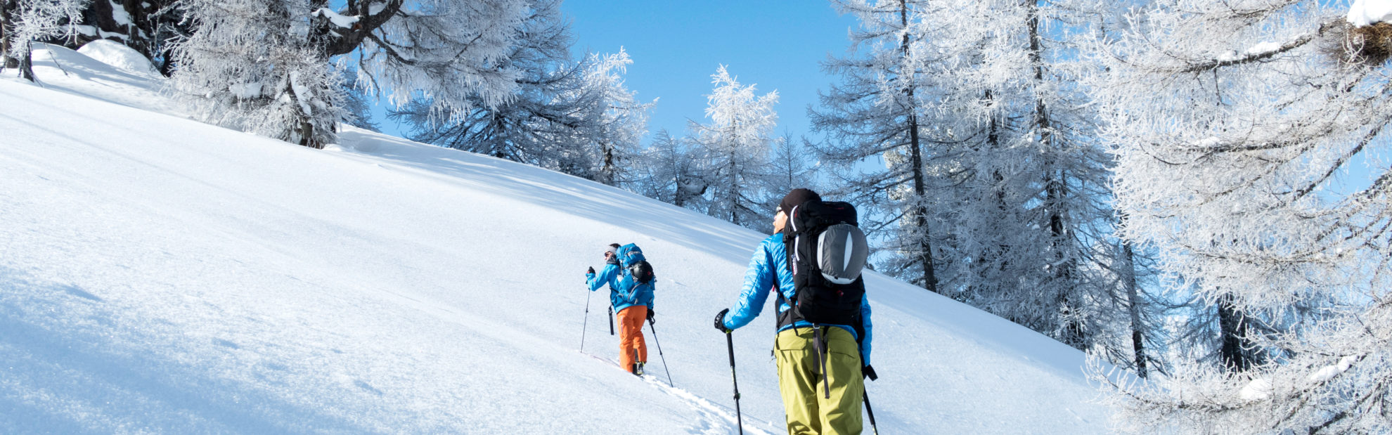 Skitourengeher zieht seine Spur in den frisch geschneiten Pulverschnee im reif bedeckten lichten Hochwald
