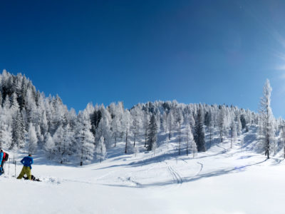 Auffellen und Paus in Waldlichtung bei Skitour mit strahlendem Sonnenschein und traum Pulverschnee