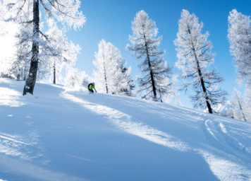 Thumbnail http://Tiefschneeskifahren%20im%20Pulverschnee%20und%20verschneite%20reifbedeckte%20Bäume