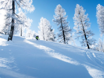 Tiefschneeskifahren im Pulverschnee und verschneite reifbedeckte Bäume